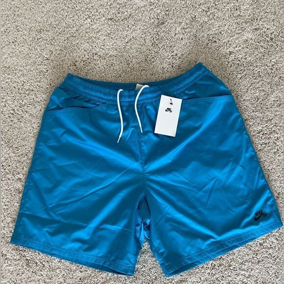 Nike SB Polyester Woven Blue Shorts - Picture 10 of 12